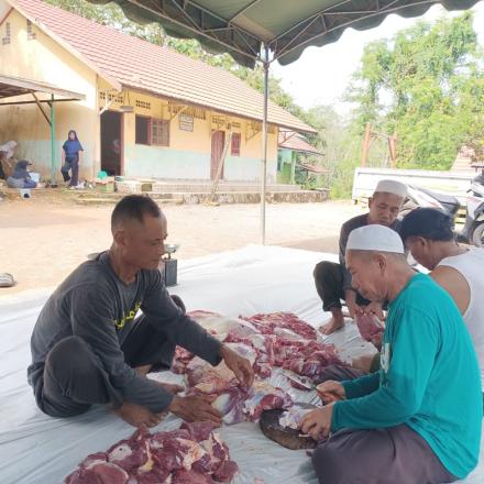 Panitia Qurban Masjid Al Mustaqim Desa Gunung Ulin Laksanakan Penyembelihan Hewan Qurban